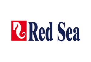 Red Sea