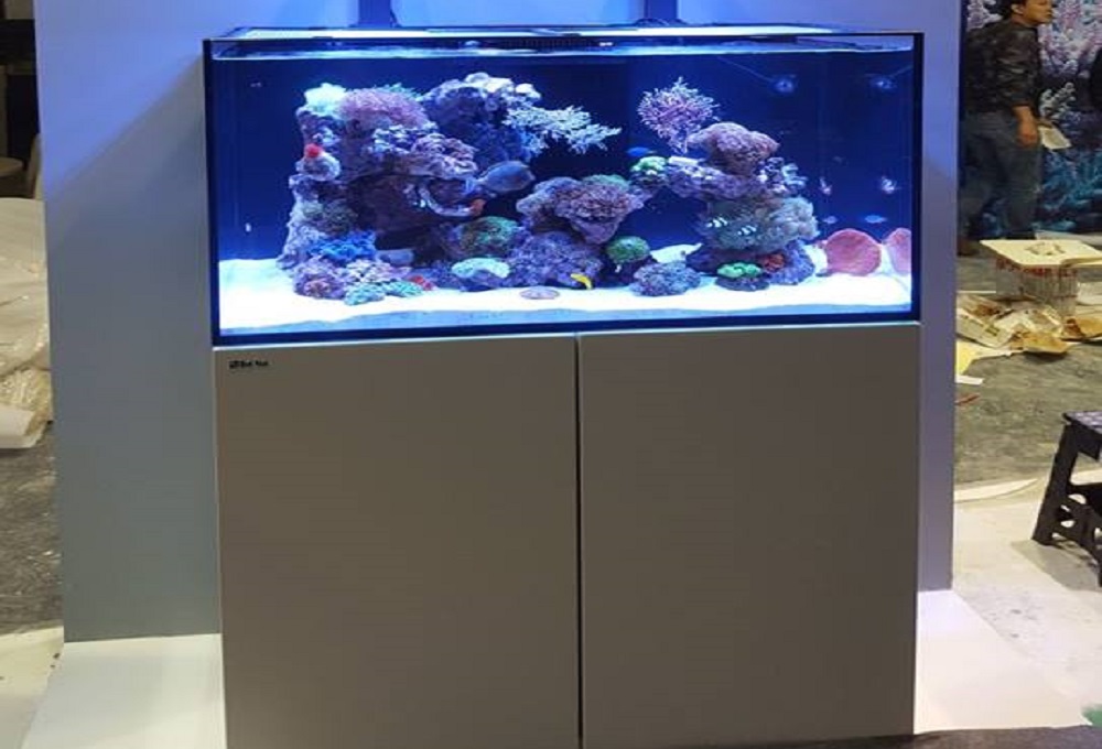 Reefer Xxl Et 3xl H2o Aquarium Et Bassin