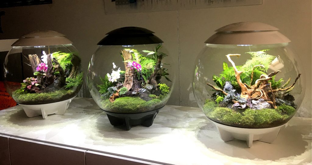 Biorb Air 60 - H2O aquarium et bassin