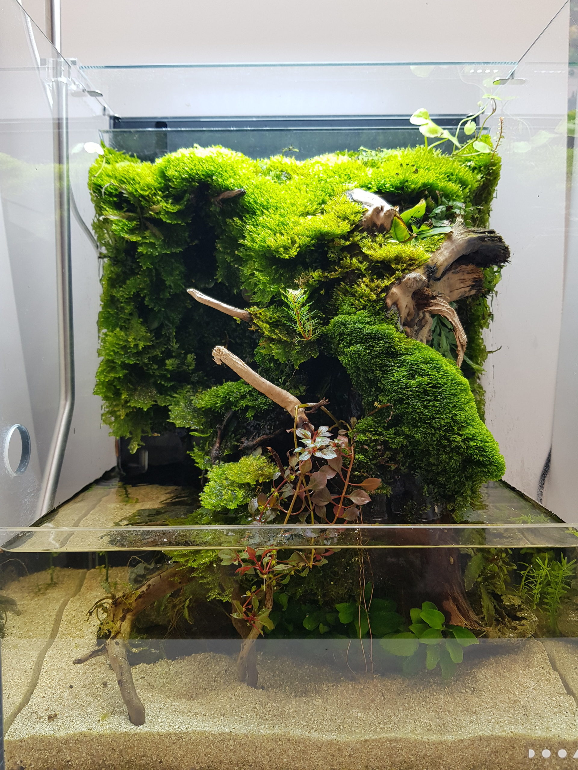 Soubassement aquarium effet 3D