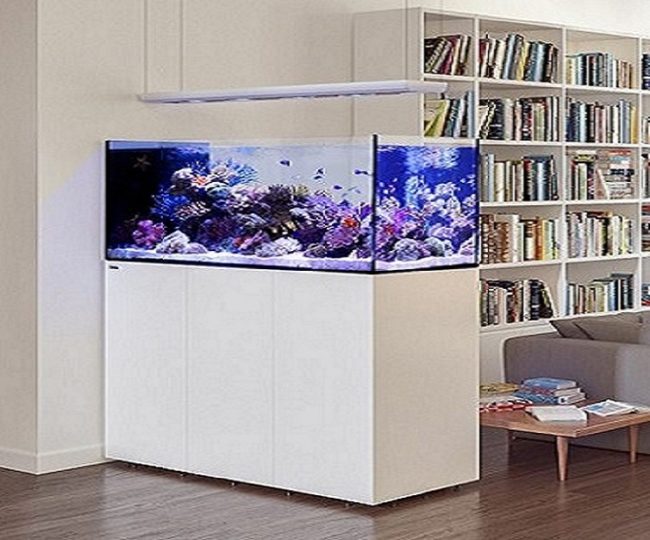 Aquarium Eau de mer H2O Aquarium et bassin