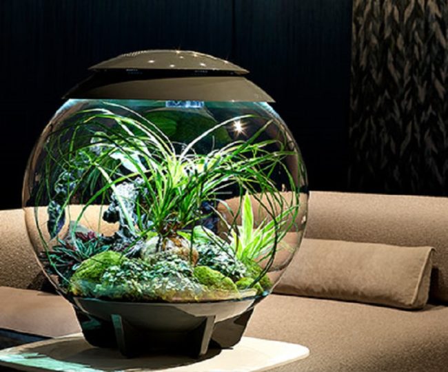 Pompa Aria BiOrb, Argento 822728003534