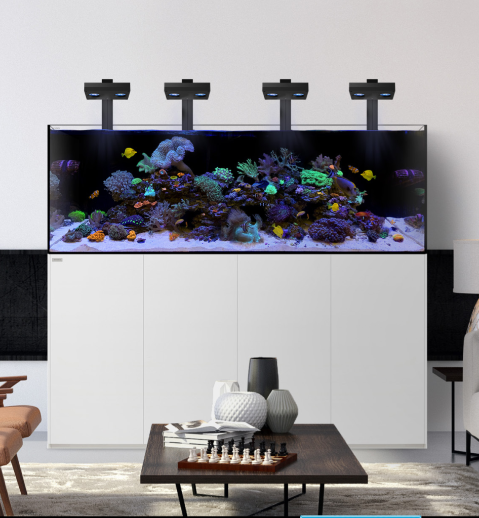 Aquarium Eau de mer H2O Aquarium et bassin